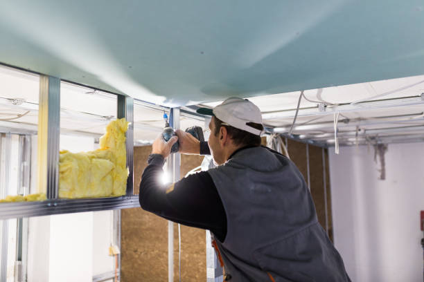 Best Residential Insulation Services  in Roeland Park, KS