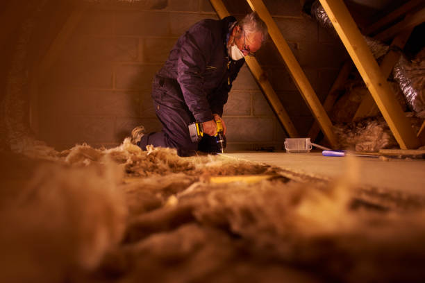 Best Attic Insulation Installation  in Roeland Park, KS